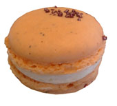 Macaron Foret du lion